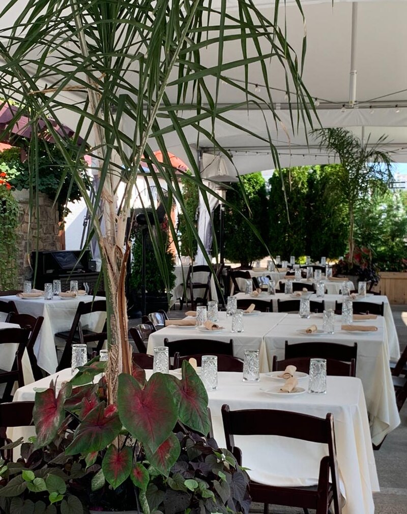 Outside dining area with view of palm trees and set tables