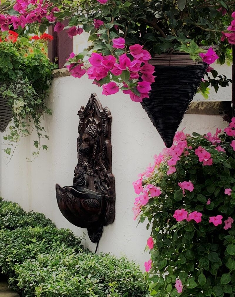 Bronze lion water fountain with hanging pink bougainvillea and ivy in outside courtyard